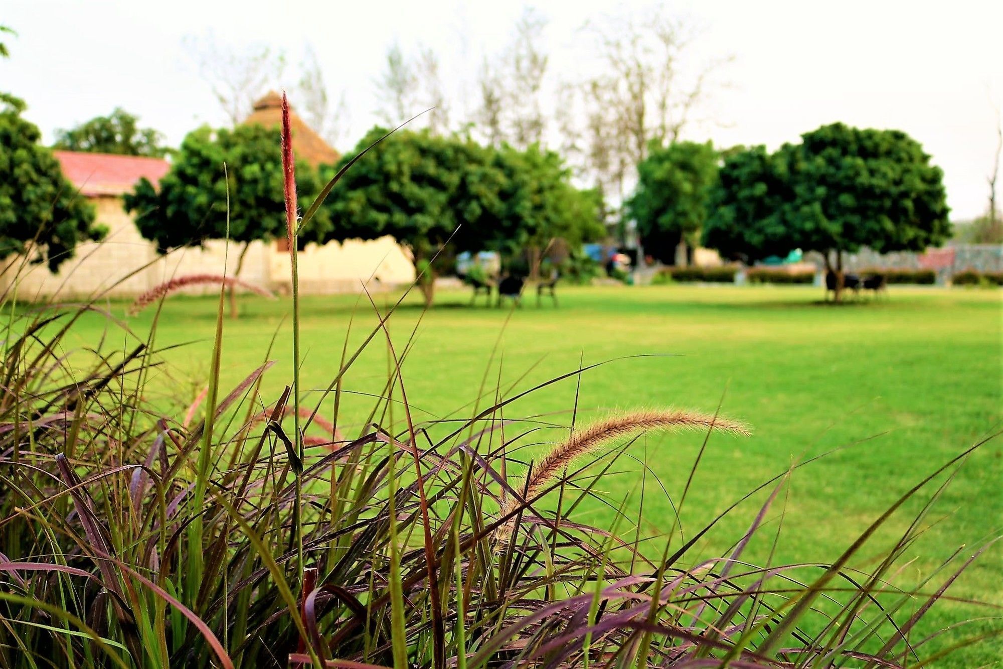 Palette Alaya Resort, Corbett Nainital Zewnętrze zdjęcie