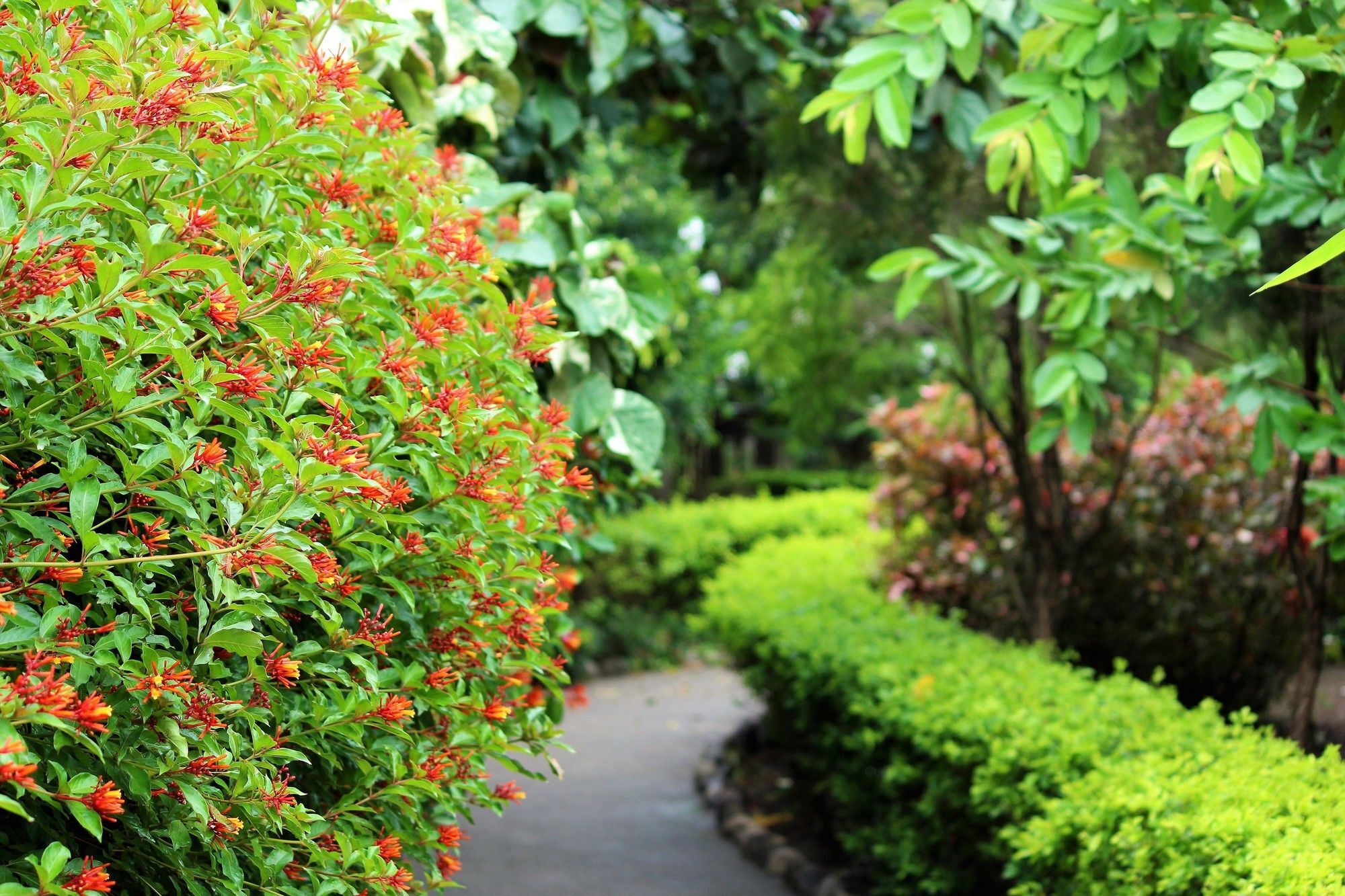 Palette Alaya Resort, Corbett Nainital Zewnętrze zdjęcie